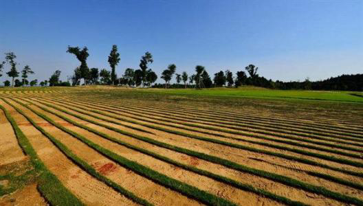 山水林田湖草 調(diào)查知多少?第三次全國(guó)國(guó)土調(diào)查最新進(jìn)展來(lái)了!