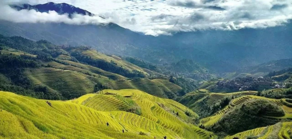 1584426680265344.png image.png