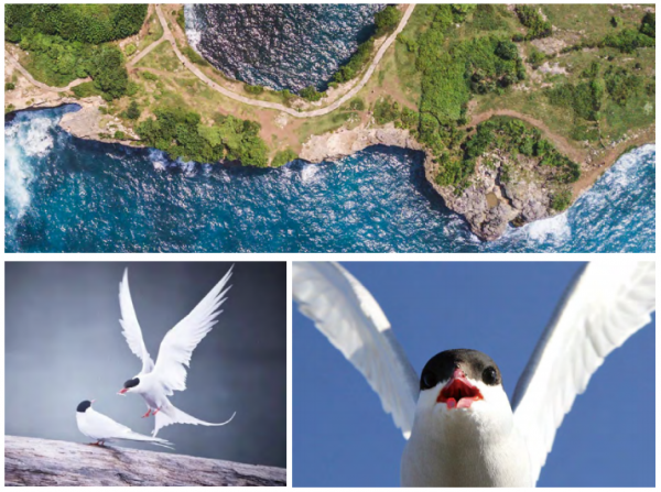 1689154184826090.jpg 1689153090768.jpg